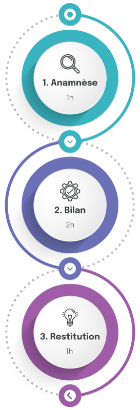 le bilan en 3 étapes : anamnèse, bilan, restitution